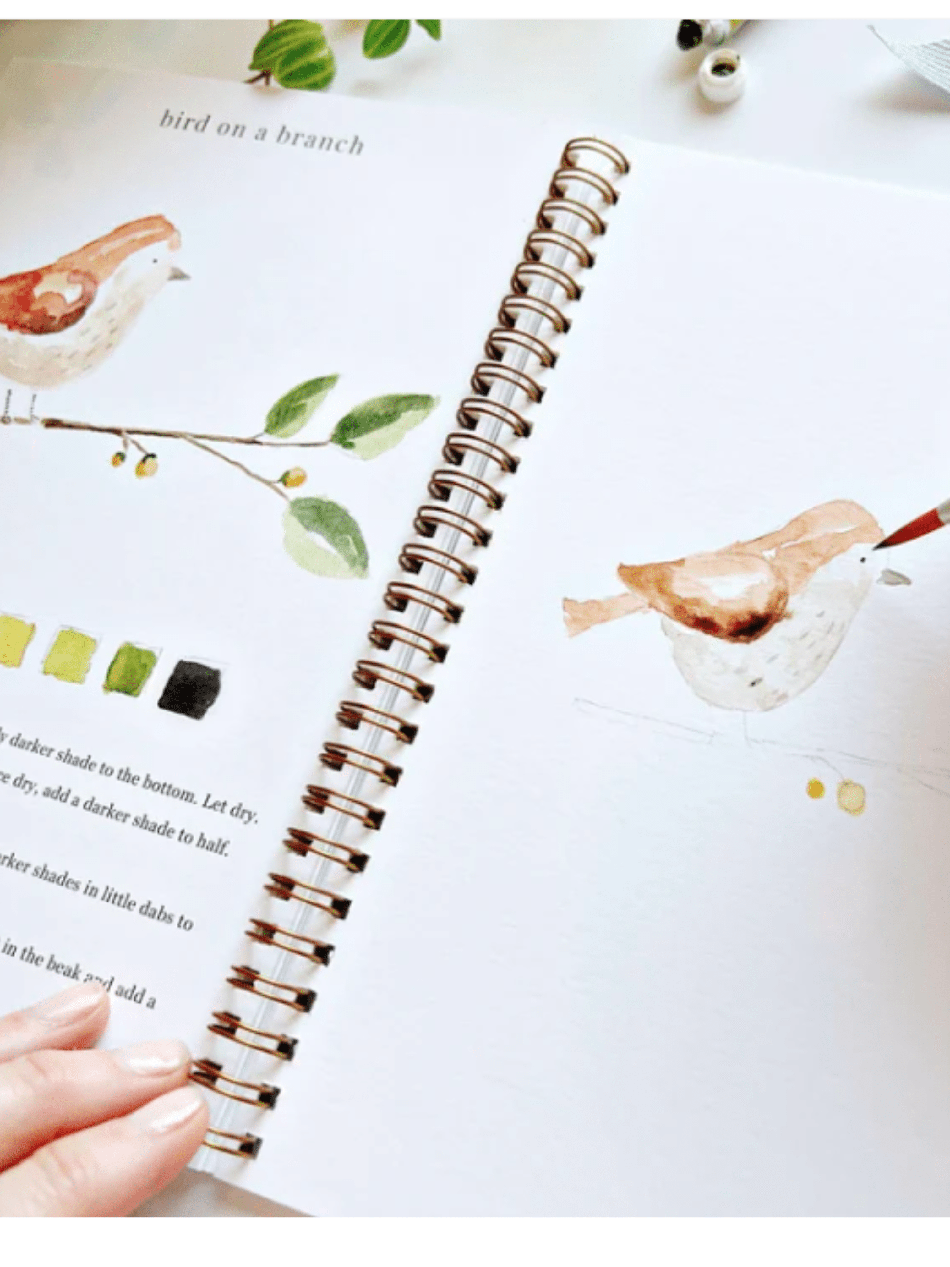 Animal Watercolor Workbook - willows clothing NOTEBOOKS