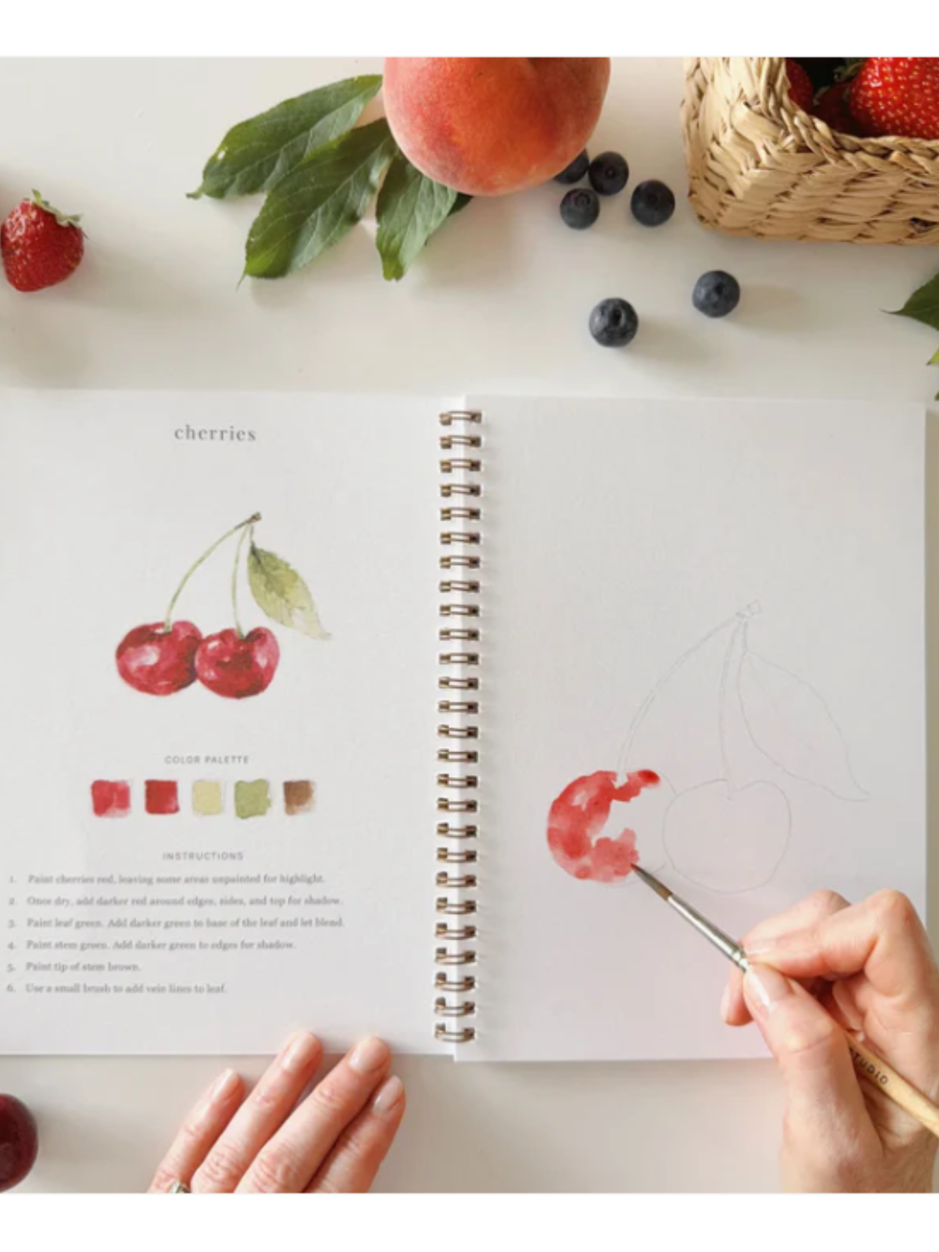 Fruit Watercolor Workbook - willows clothing NOTEBOOKS