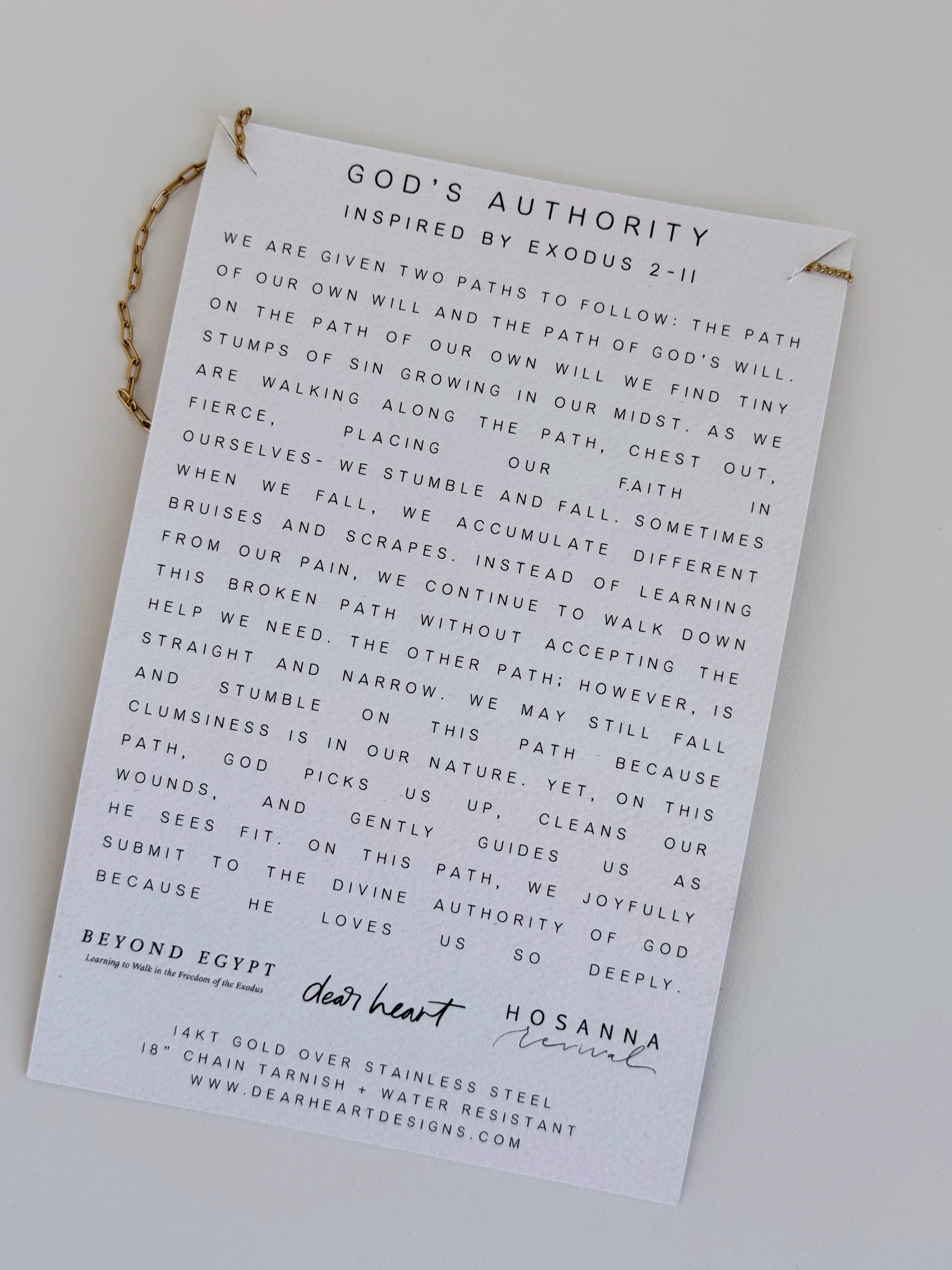 God's Authority Necklace - willows clothing NECKLACE