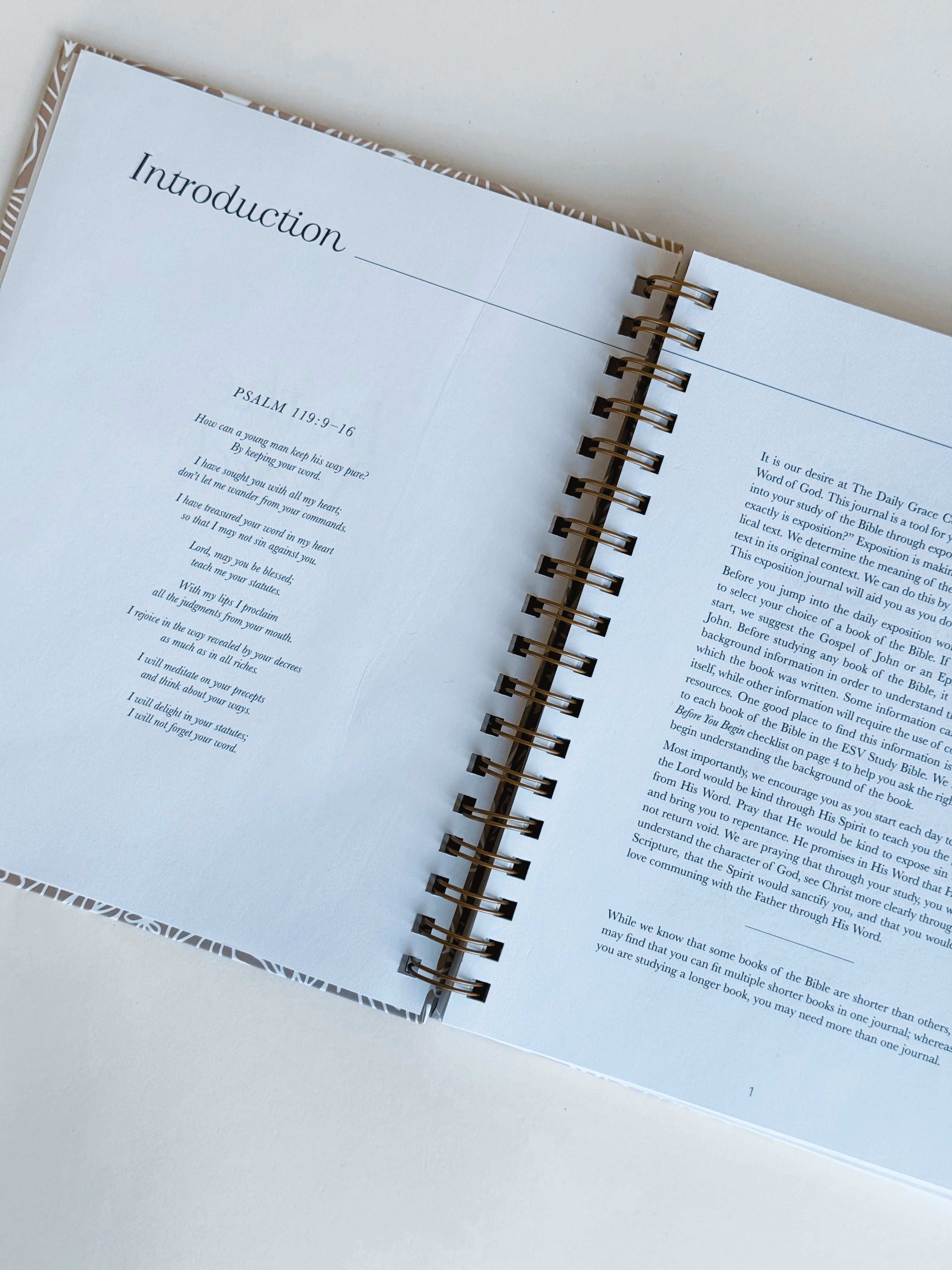 In The Word Bible Study Journal - willows clothing NOTEBOOKS