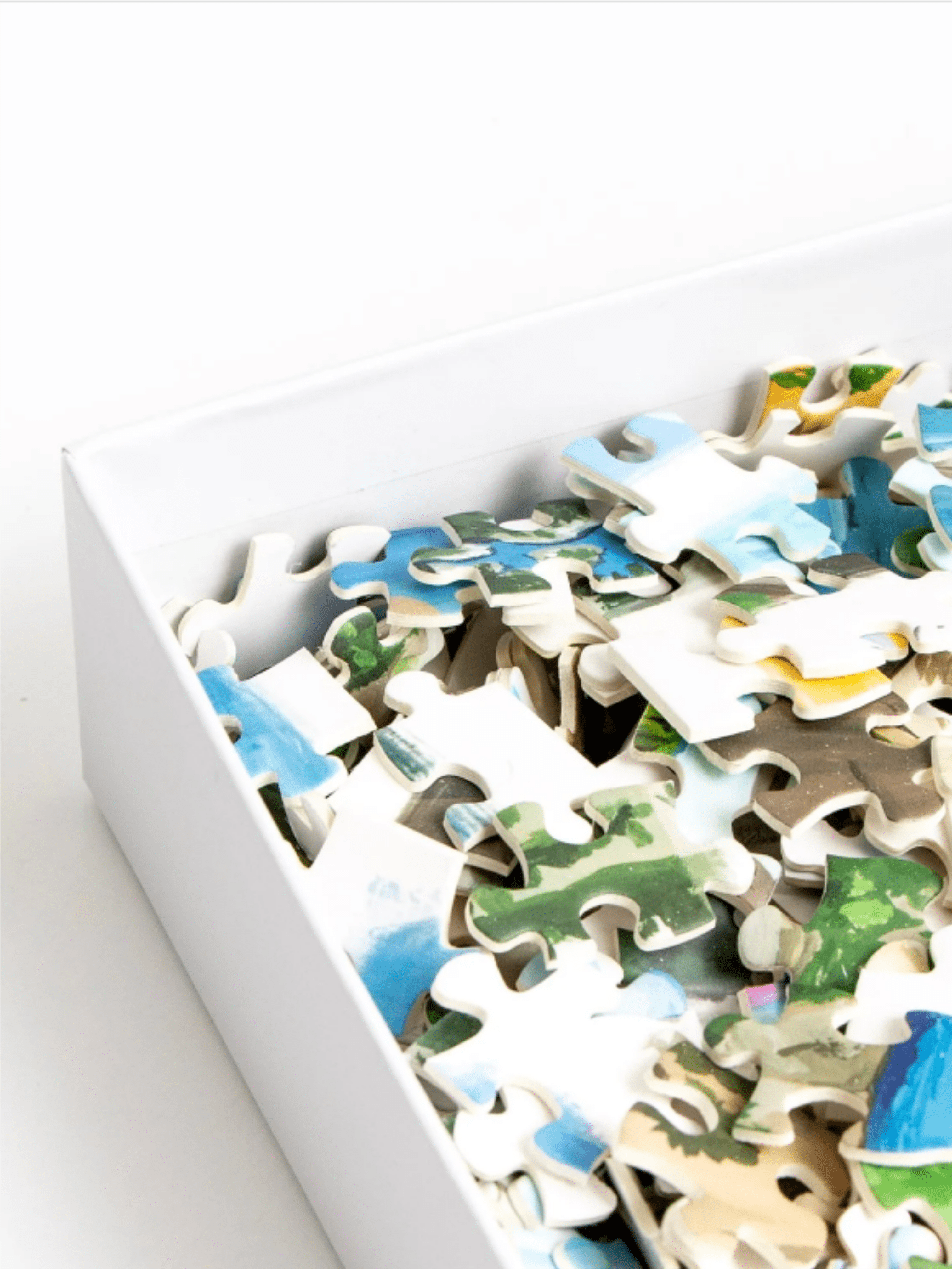 National Parks - 1000 Piece Jigsaw Puzzle - willows clothing Gifts