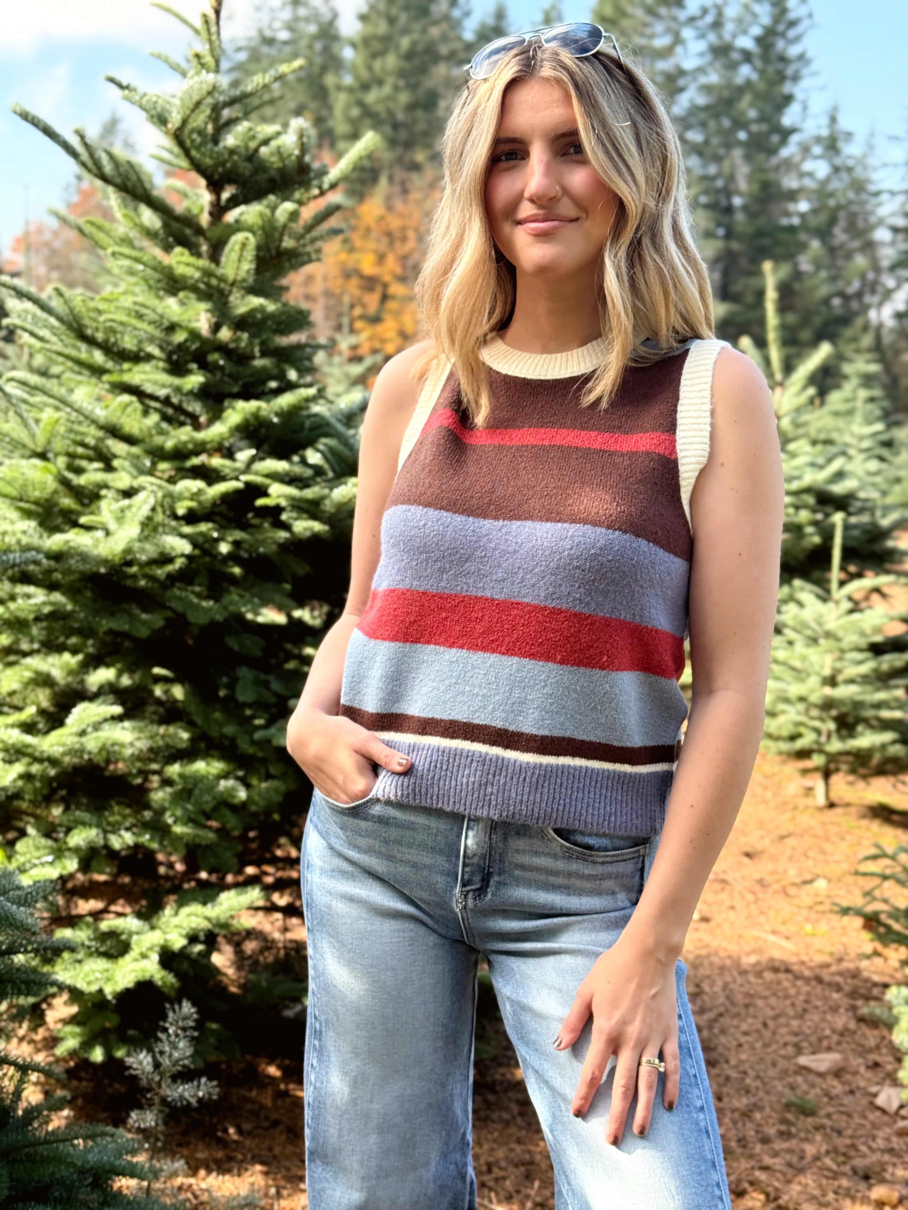 Sequoia Sweater Vest - BLUE - willows clothing VEST