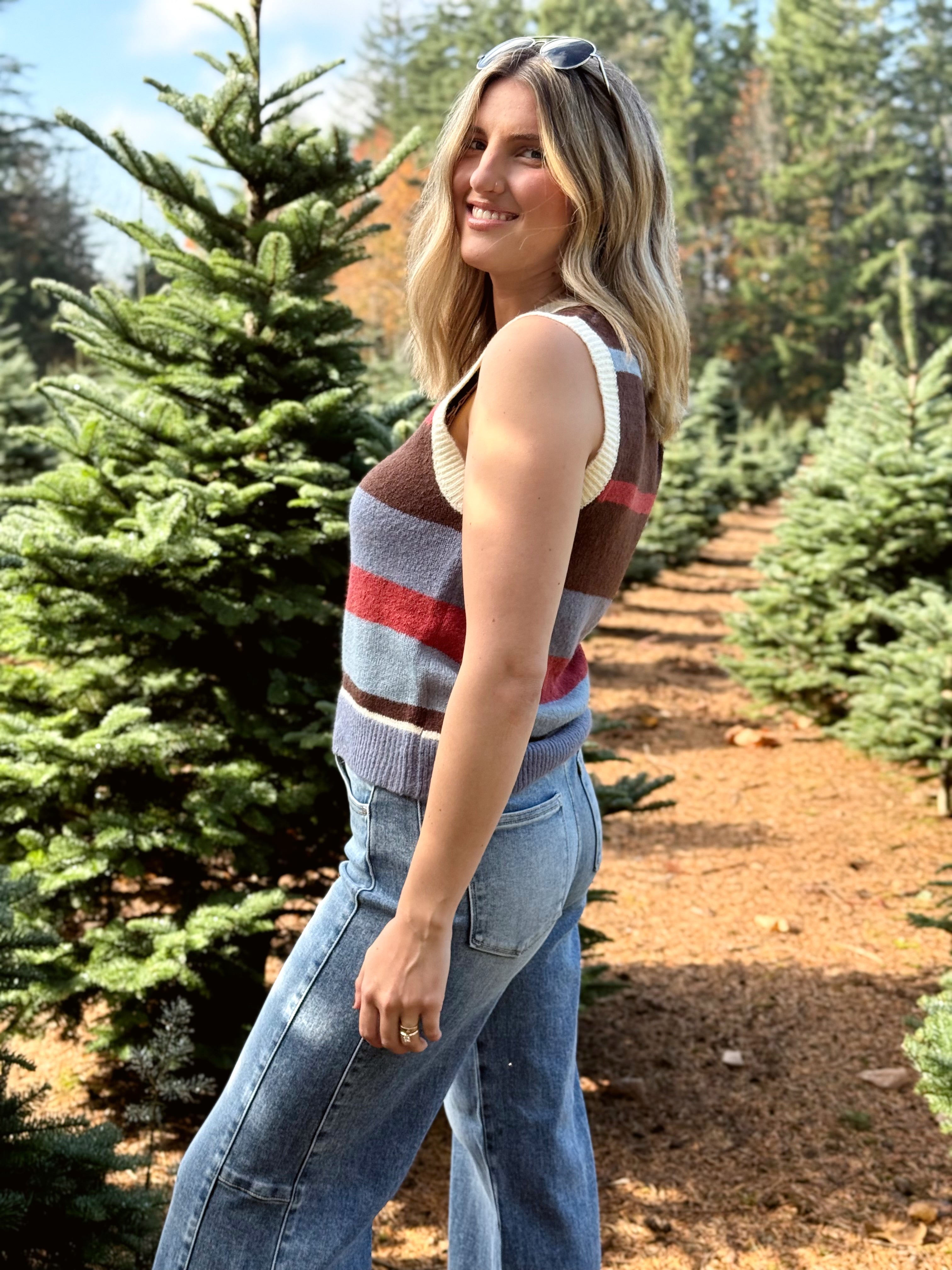 Sequoia Sweater Vest - BLUE - willows clothing VEST