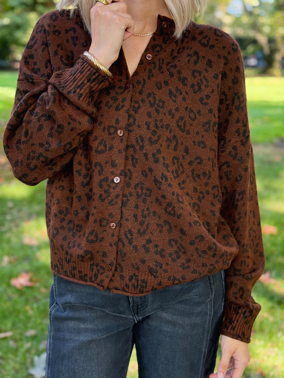 Wild Print Cardigan - BROWN