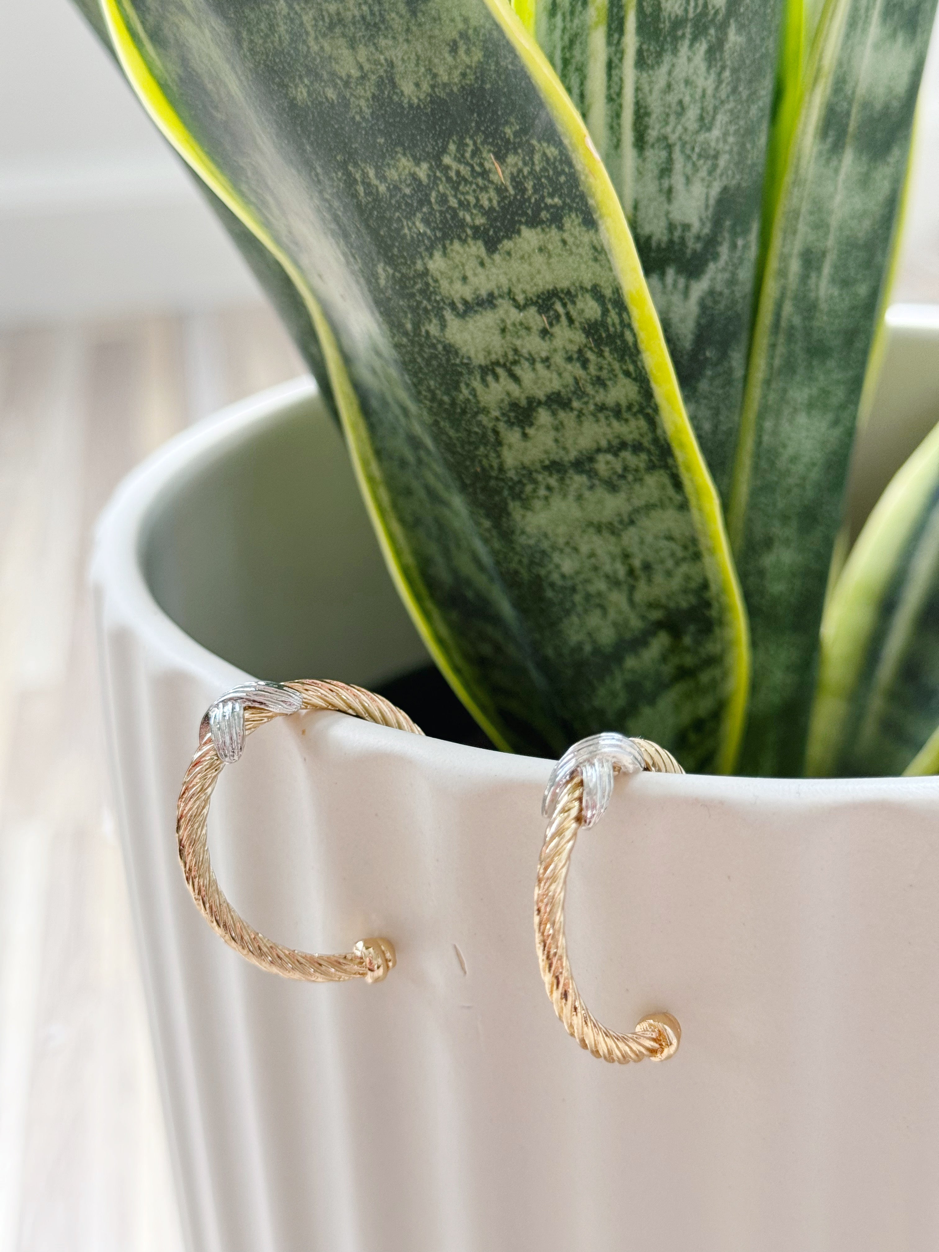 Accented Hoop Earring - GOLD SILVER - willows clothing EARRINGS