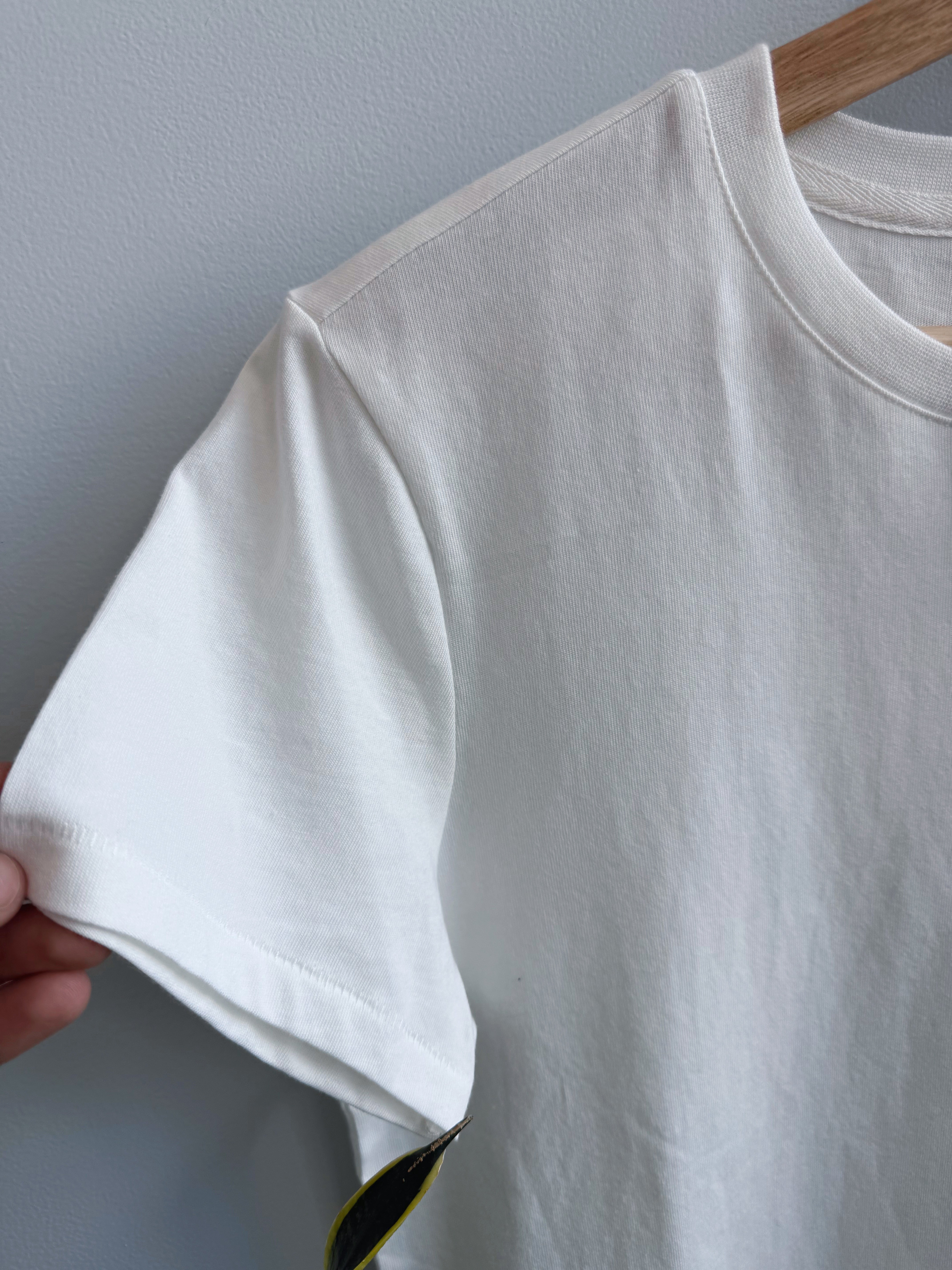 Clare Tee - WHITE - willows clothing S/S SHIRT