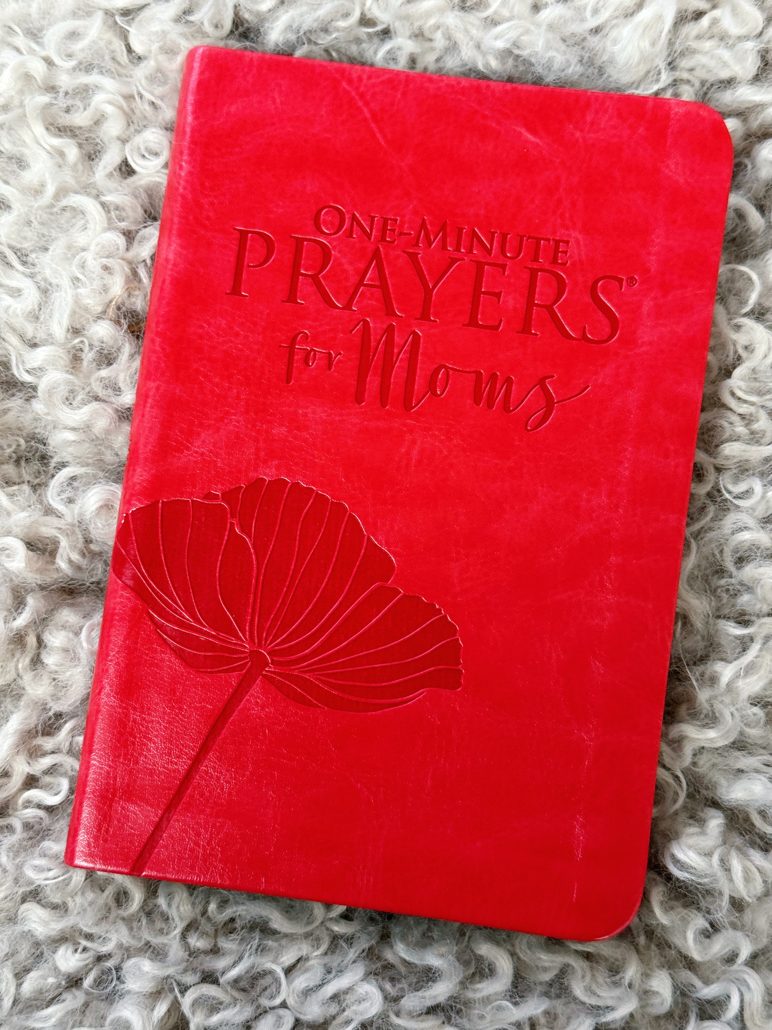 One Minute Prayers for Moms Book - willows clothing Books