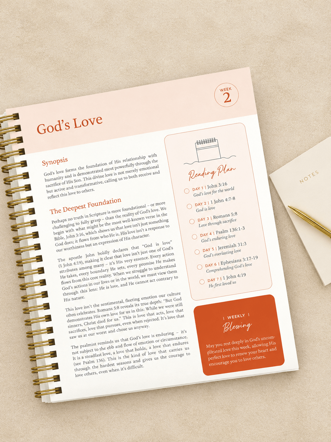 The Bible In A Year: A 52-Week Study - willows clothing NOTEBOOKS