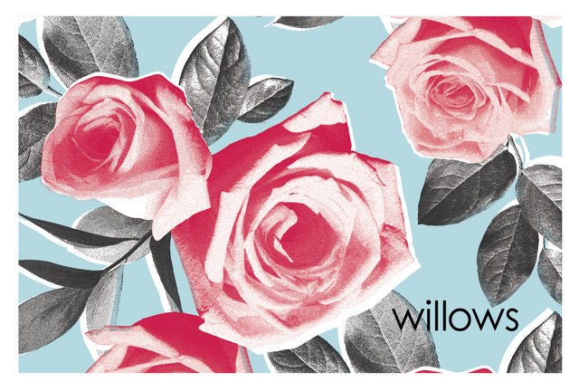 willows gift card - willows clothing Gift Card